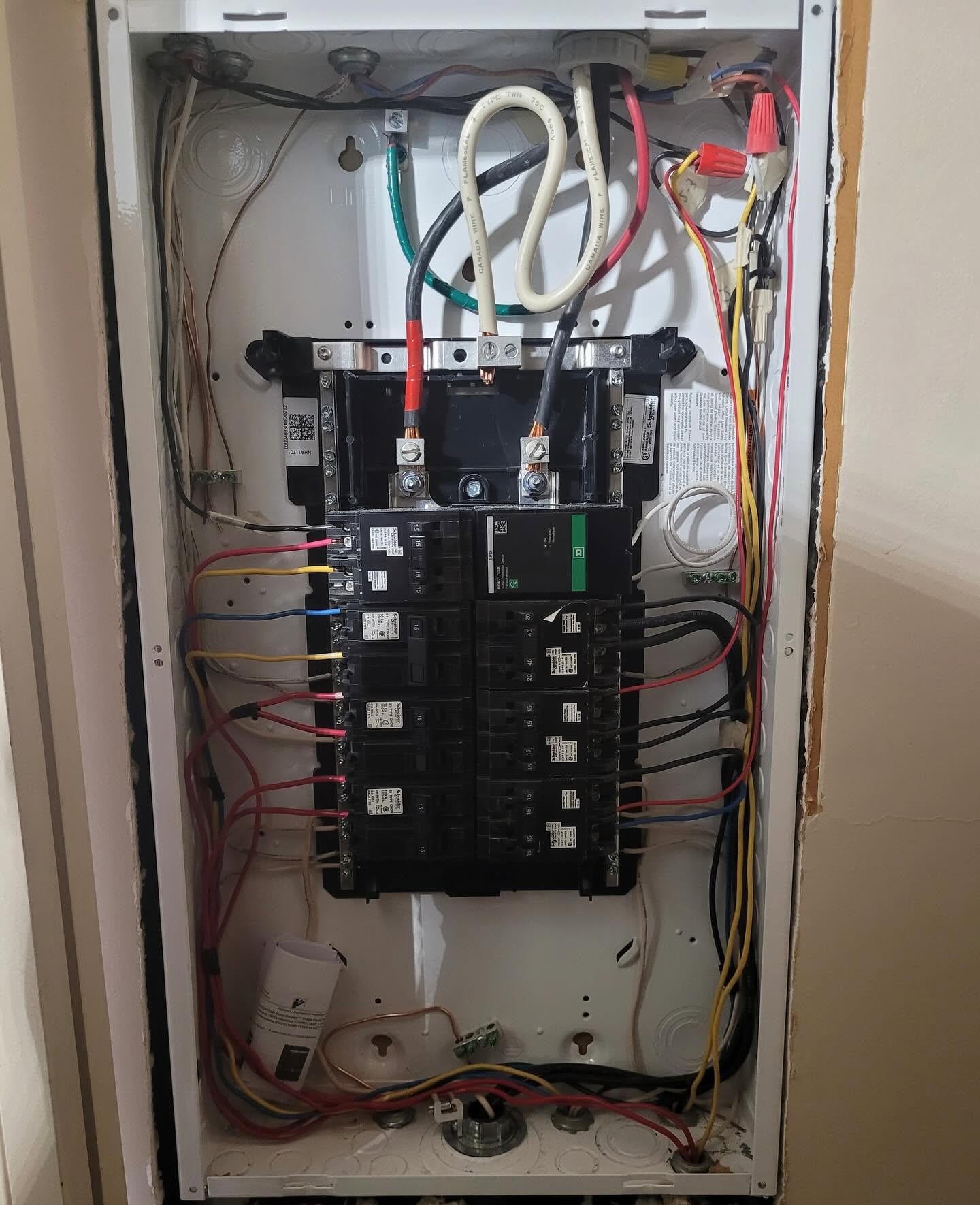 Electrical Panel Upgrade